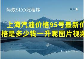 上海汽油价格95号最新价格是多少钱一升呢图片视频