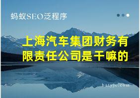 上海汽车集团财务有限责任公司是干嘛的