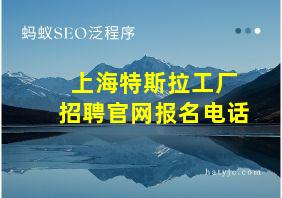 上海特斯拉工厂招聘官网报名电话