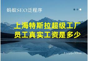 上海特斯拉超级工厂员工真实工资是多少