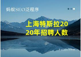 上海特斯拉2020年招聘人数