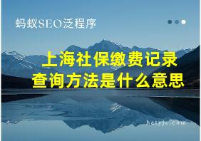 上海社保缴费记录查询方法是什么意思