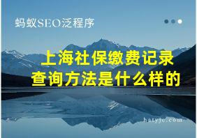 上海社保缴费记录查询方法是什么样的