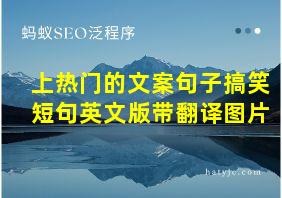 上热门的文案句子搞笑短句英文版带翻译图片