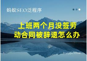 上班两个月没签劳动合同被辞退怎么办