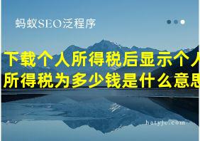 下载个人所得税后显示个人所得税为多少钱是什么意思