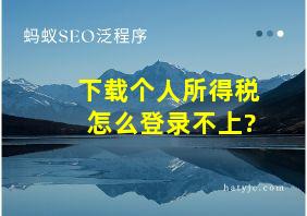 下载个人所得税怎么登录不上?