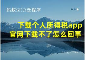 下载个人所得税app官网下载不了怎么回事