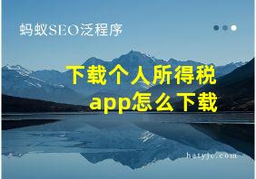 下载个人所得税app怎么下载