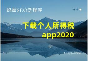 下载个人所得税app2020