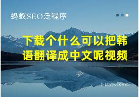 下载个什么可以把韩语翻译成中文呢视频