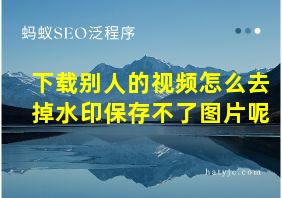 下载别人的视频怎么去掉水印保存不了图片呢