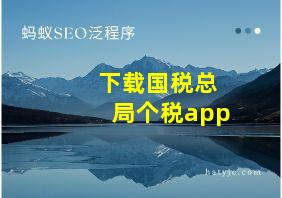 下载国税总局个税app