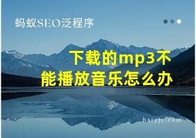 下载的mp3不能播放音乐怎么办