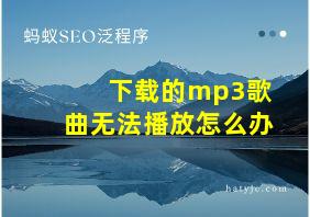 下载的mp3歌曲无法播放怎么办