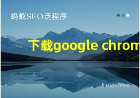 下载google chrome