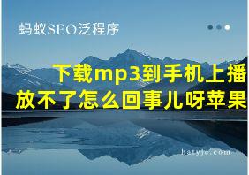 下载mp3到手机上播放不了怎么回事儿呀苹果