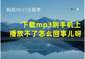 下载mp3到手机上播放不了怎么回事儿呀