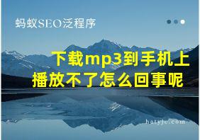 下载mp3到手机上播放不了怎么回事呢