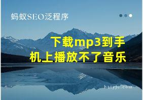 下载mp3到手机上播放不了音乐