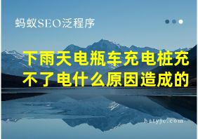 下雨天电瓶车充电桩充不了电什么原因造成的