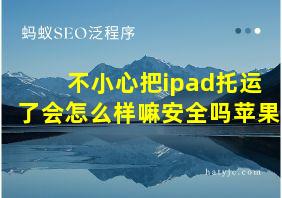 不小心把ipad托运了会怎么样嘛安全吗苹果