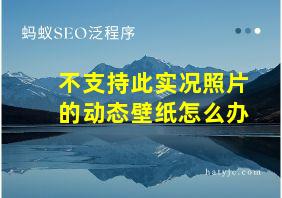 不支持此实况照片的动态壁纸怎么办