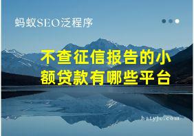 不查征信报告的小额贷款有哪些平台