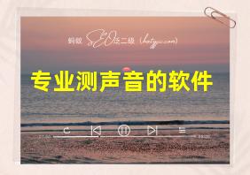 专业测声音的软件