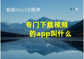 专门下载视频的app叫什么