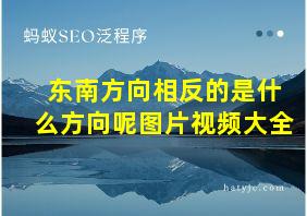 东南方向相反的是什么方向呢图片视频大全