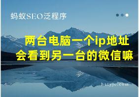 两台电脑一个ip地址会看到另一台的微信嘛