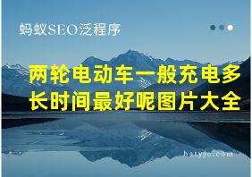 两轮电动车一般充电多长时间最好呢图片大全