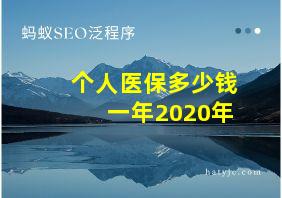 个人医保多少钱一年2020年