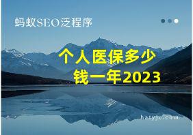 个人医保多少钱一年2023