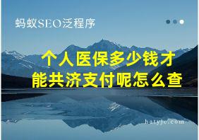 个人医保多少钱才能共济支付呢怎么查