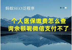 个人医保缴费怎么查询余额呢微信支付不了