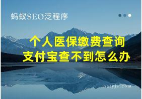 个人医保缴费查询支付宝查不到怎么办