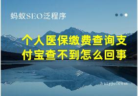 个人医保缴费查询支付宝查不到怎么回事