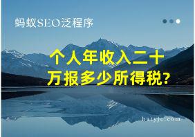 个人年收入二十万报多少所得税?