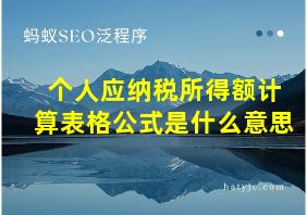 个人应纳税所得额计算表格公式是什么意思