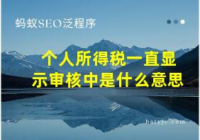 个人所得税一直显示审核中是什么意思