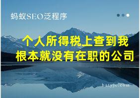 个人所得税上查到我根本就没有在职的公司