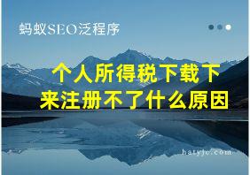 个人所得税下载下来注册不了什么原因