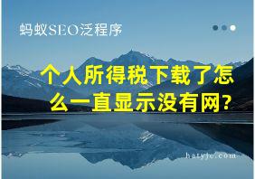 个人所得税下载了怎么一直显示没有网?