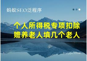 个人所得税专项扣除赡养老人填几个老人