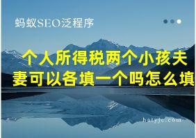 个人所得税两个小孩夫妻可以各填一个吗怎么填