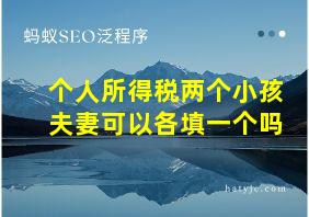 个人所得税两个小孩夫妻可以各填一个吗