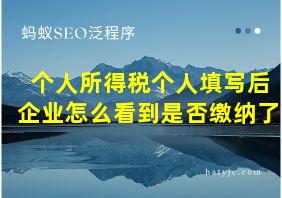 个人所得税个人填写后企业怎么看到是否缴纳了