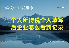 个人所得税个人填写后企业怎么看到记录